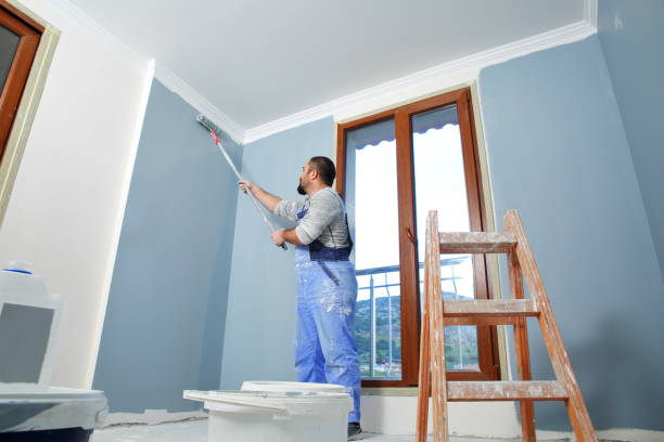 Best Black Mold Removal  in Centreville, AL