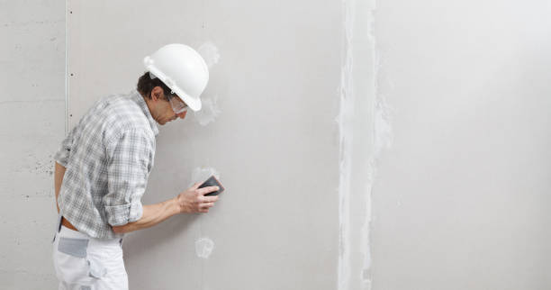 Best Post-Construction Mold Inspection  in Centreville, AL