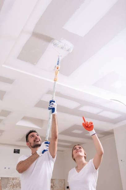 Best Basement Mold Removal  in Centreville, AL