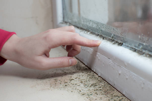 Best HVAC Mold Inspection and Cleaning  in Centreville, AL
