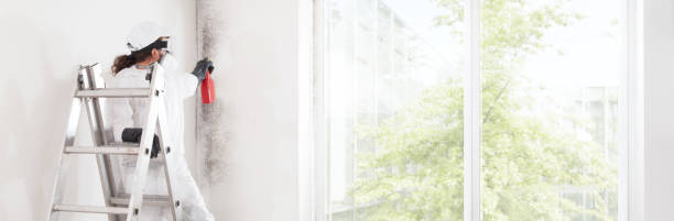 Best Real Estate Mold Inspection  in Centreville, AL