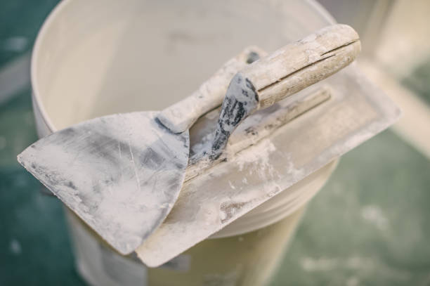 Best Crawl Space Mold Remediation  in Centreville, AL